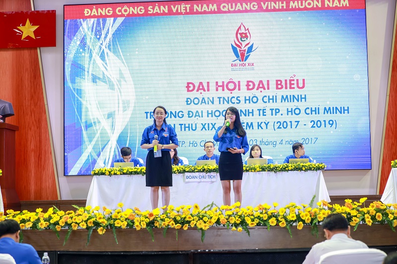 cá cược thể thao hul city